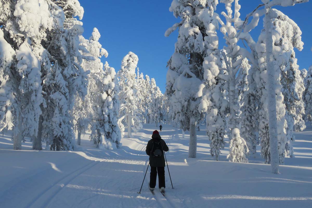 laponie-ski