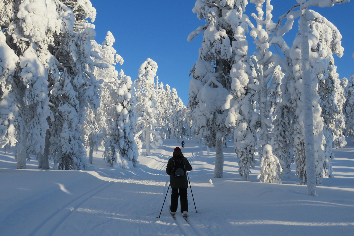 laponie-ski