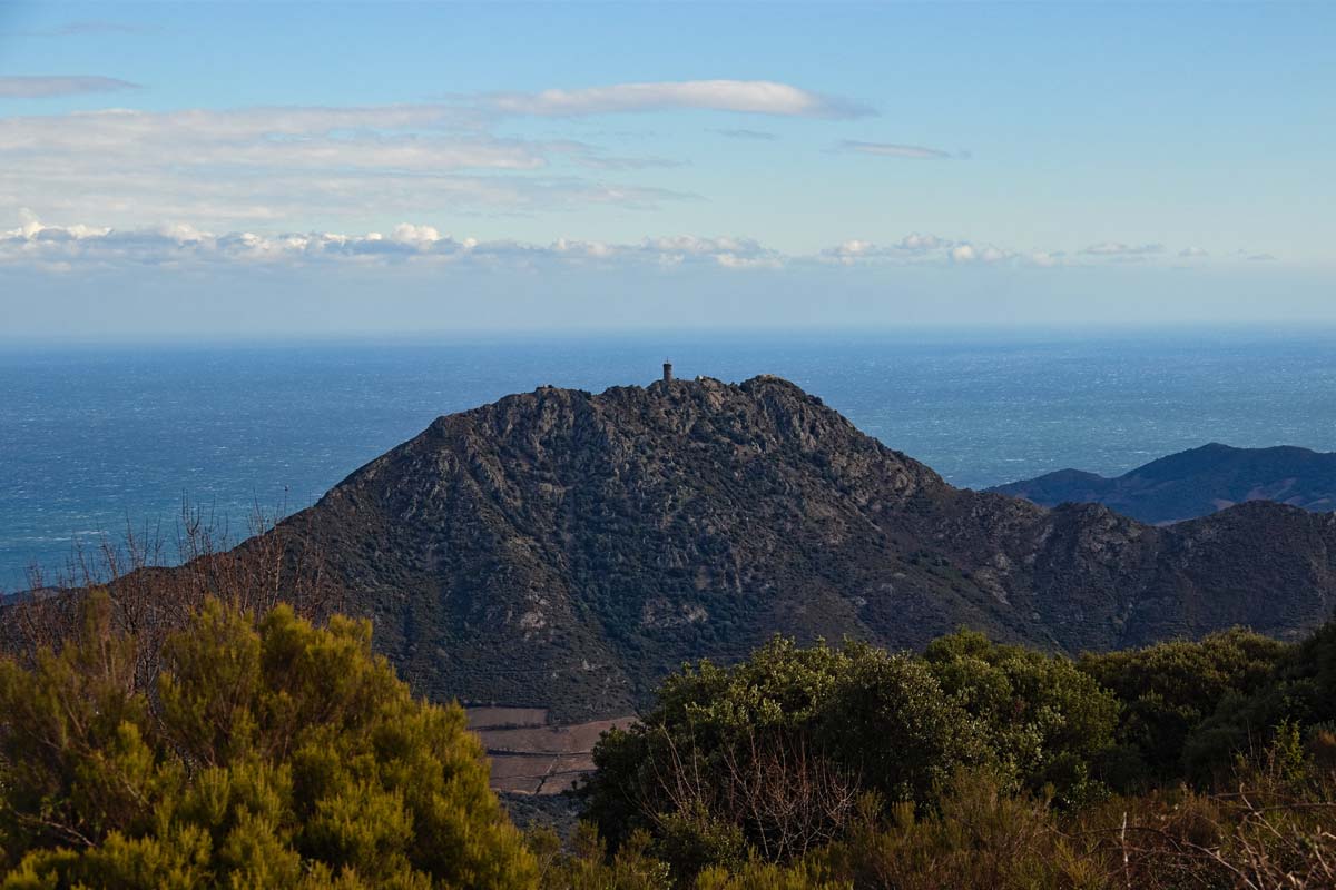 massif-des-alberes