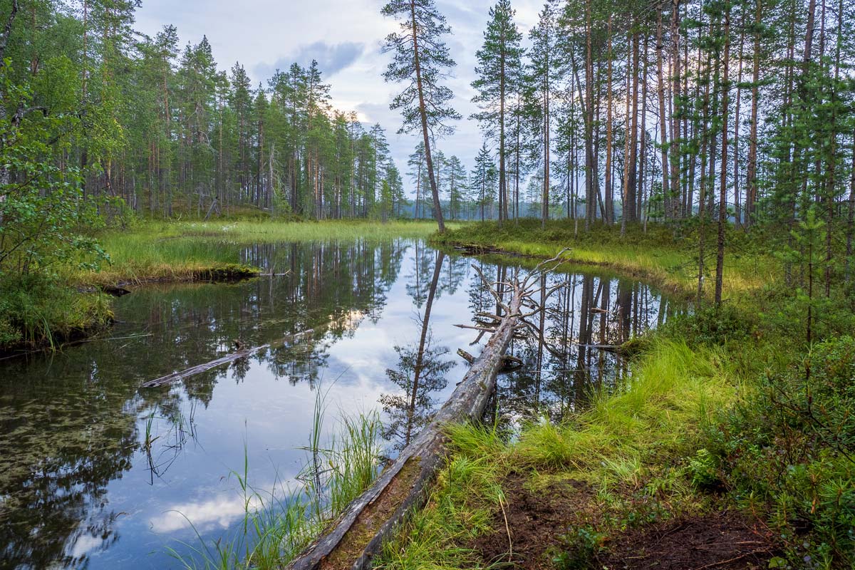 parc-national-hossa-finlande