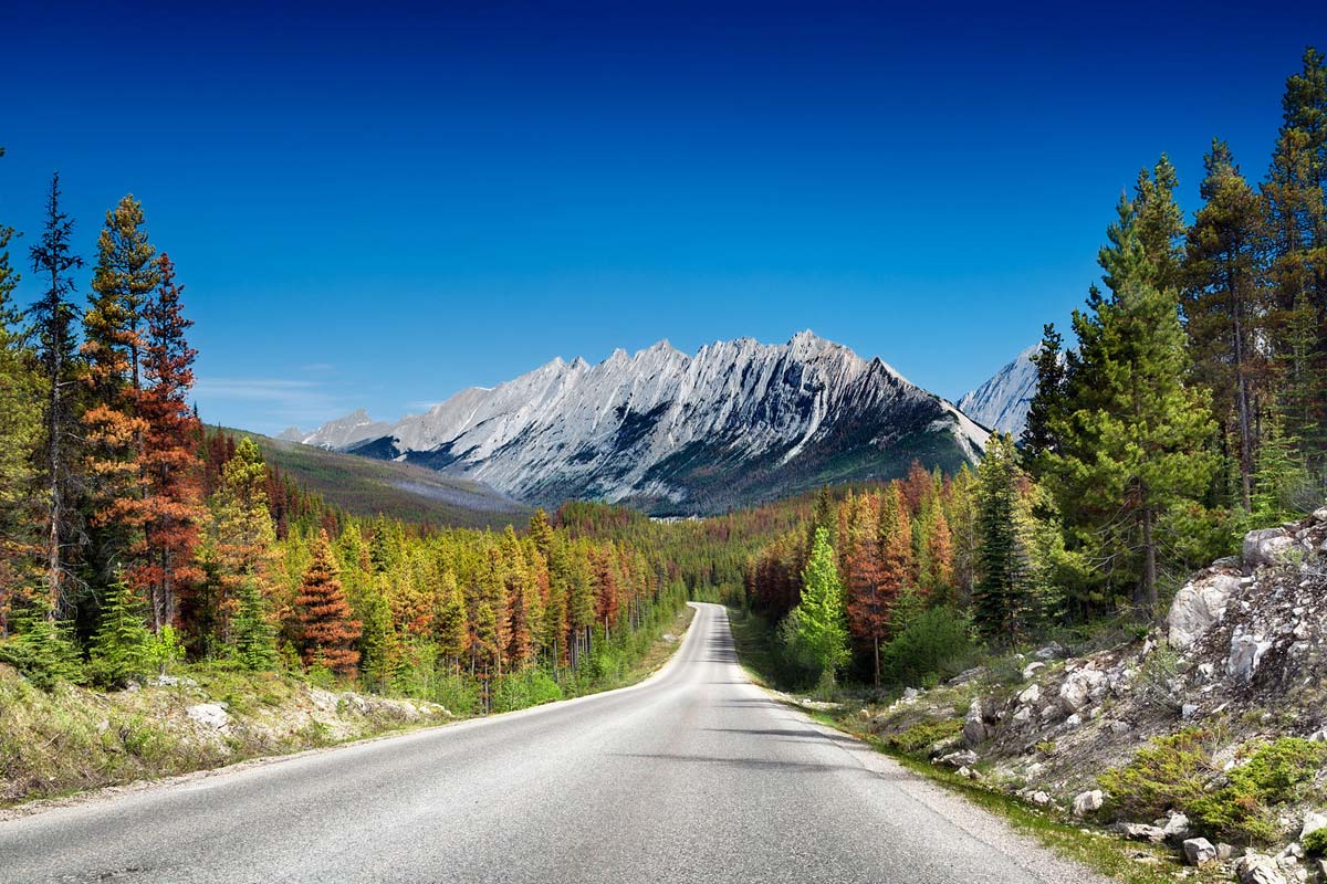 maligne-lake-road-jasper