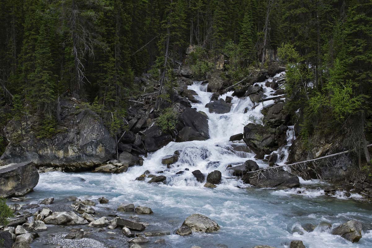 meeting-of-the-waters-jonction-riviere-yoho