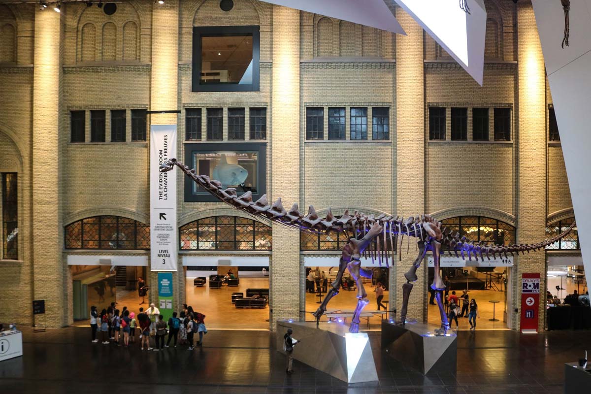 musee-royal-ontario-toronto