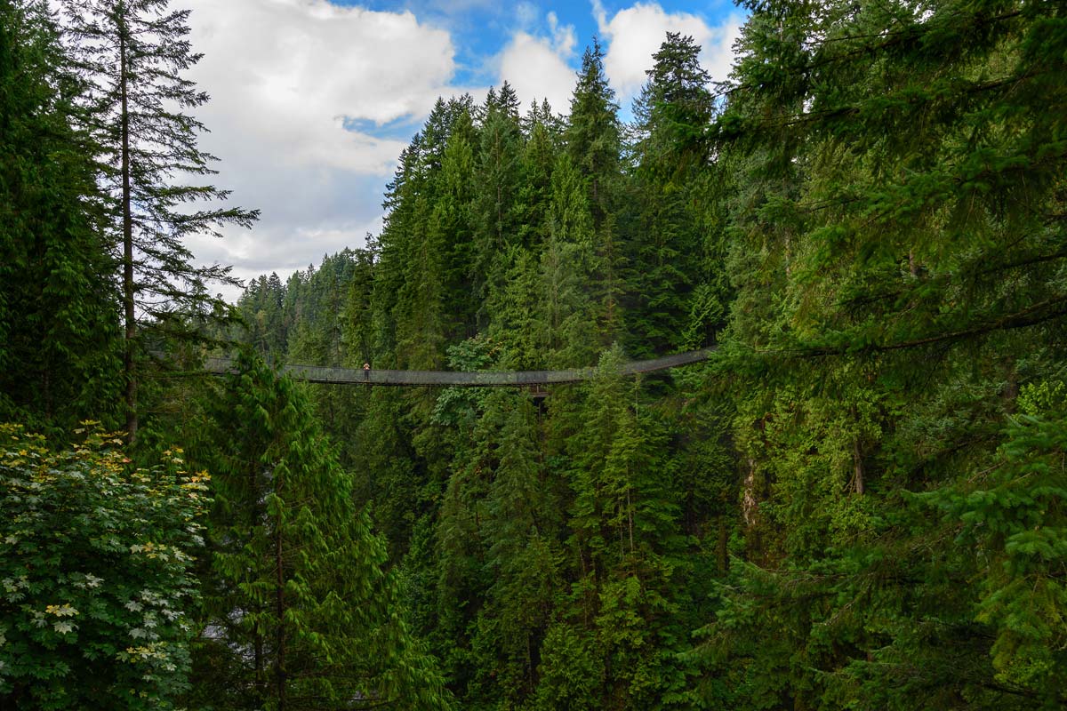 pont-suspendu-capilano-vancouver