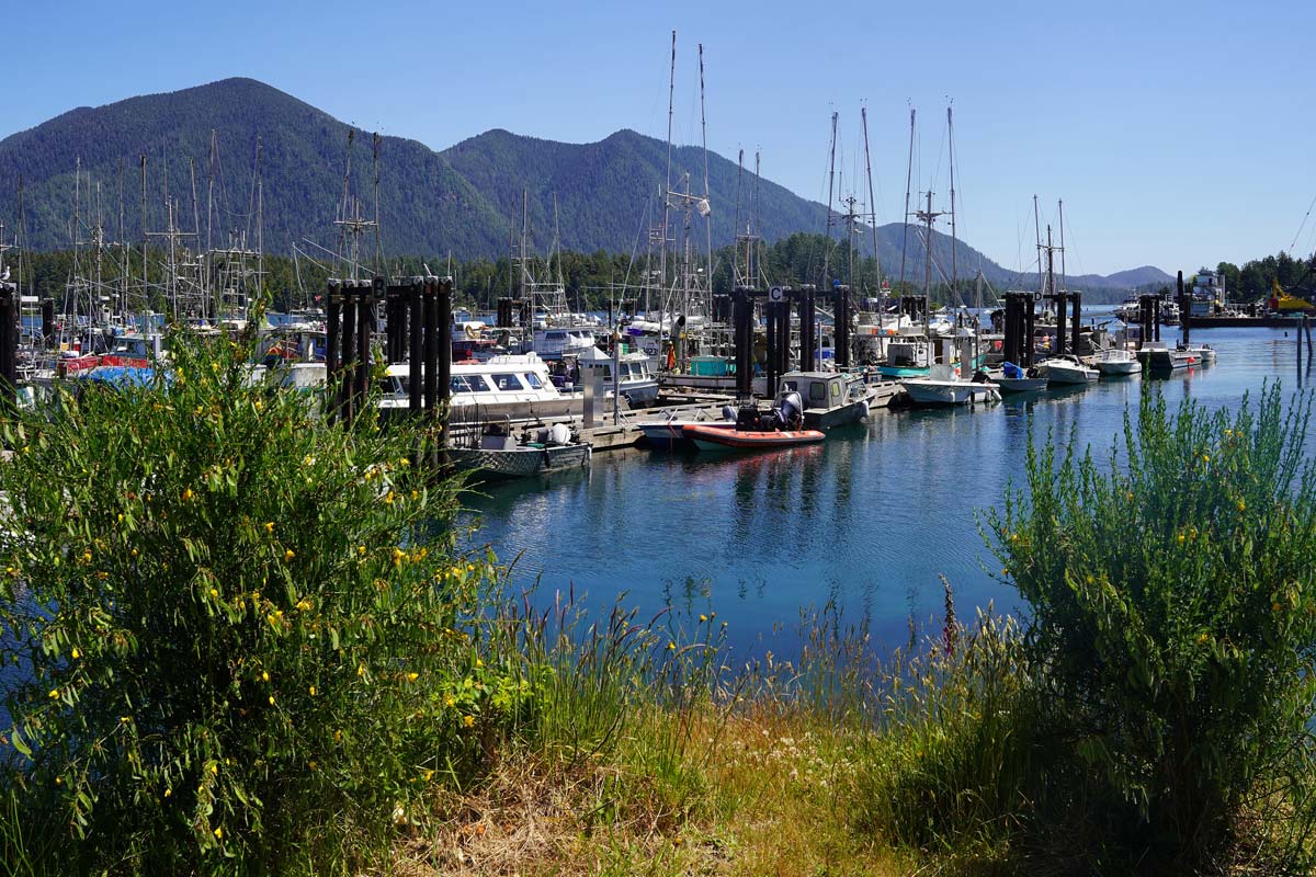 port-tofino-ancien-village-pecheur