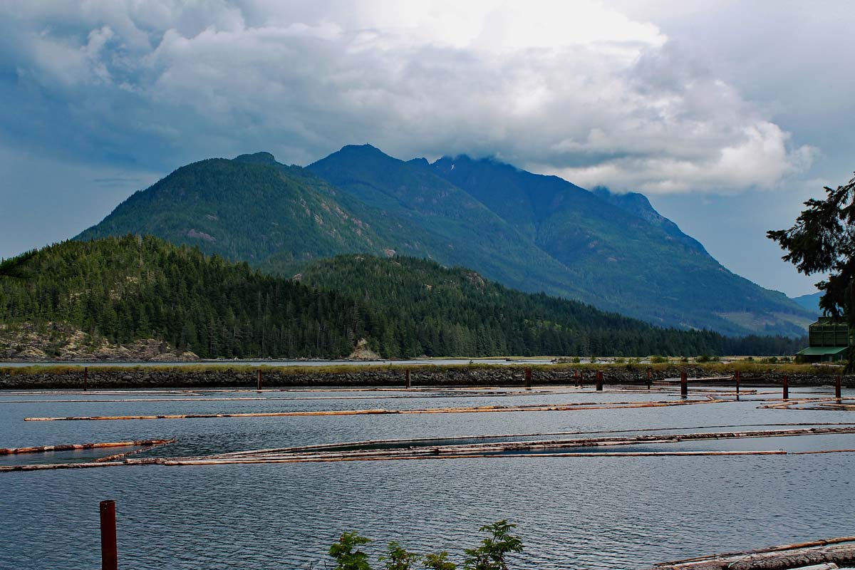 que-voir-ile-de-vancouver