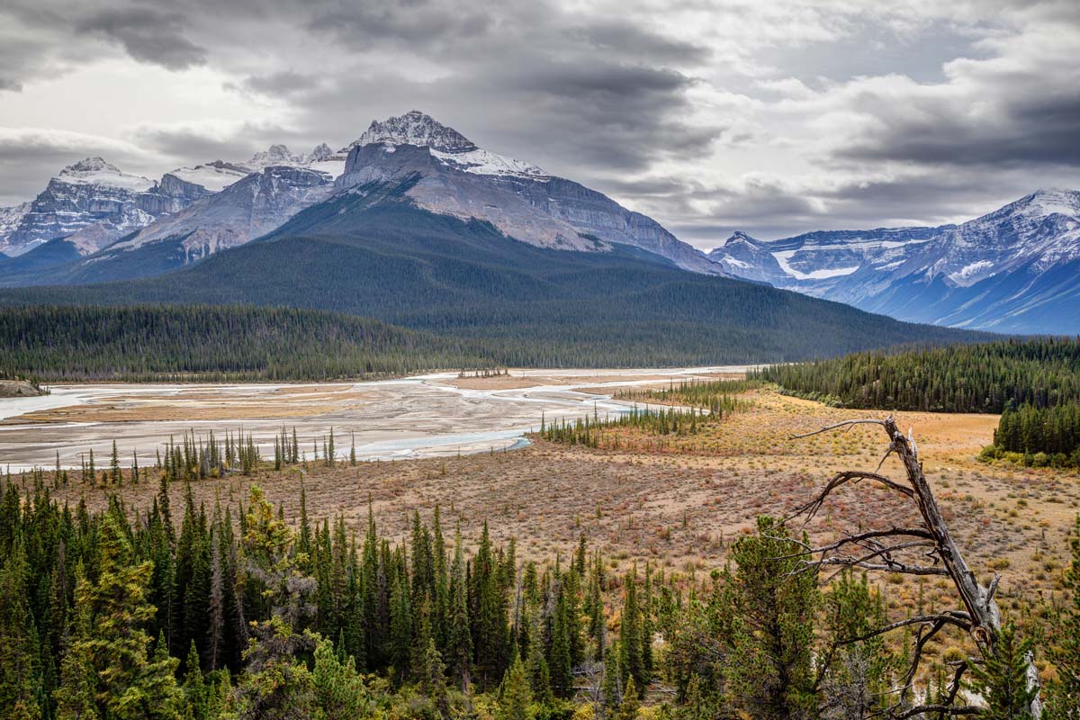 saskatchewan-river-crossing-icefields-parkway